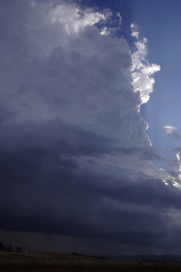 updraft thunderstorm_updrafts : near Bathurst, NSW   6 January 2006