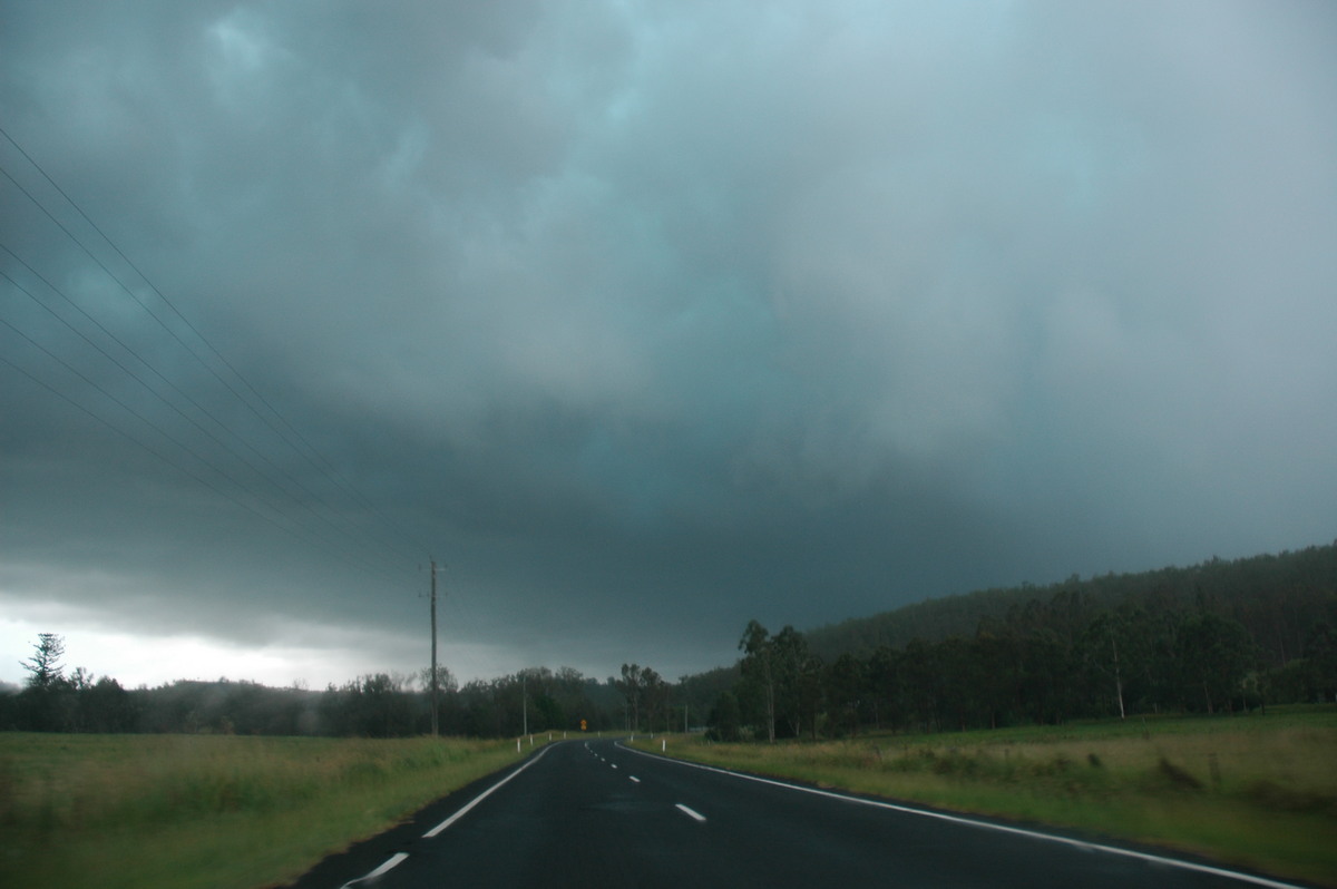 favourites michael_bath : Mummulgum, NSW   6 January 2006