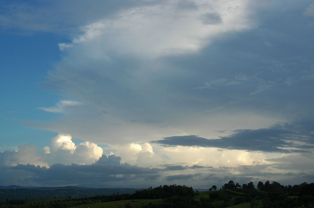 anvil thunderstorm_anvils : McLeans Ridges, NSW   10 January 2006