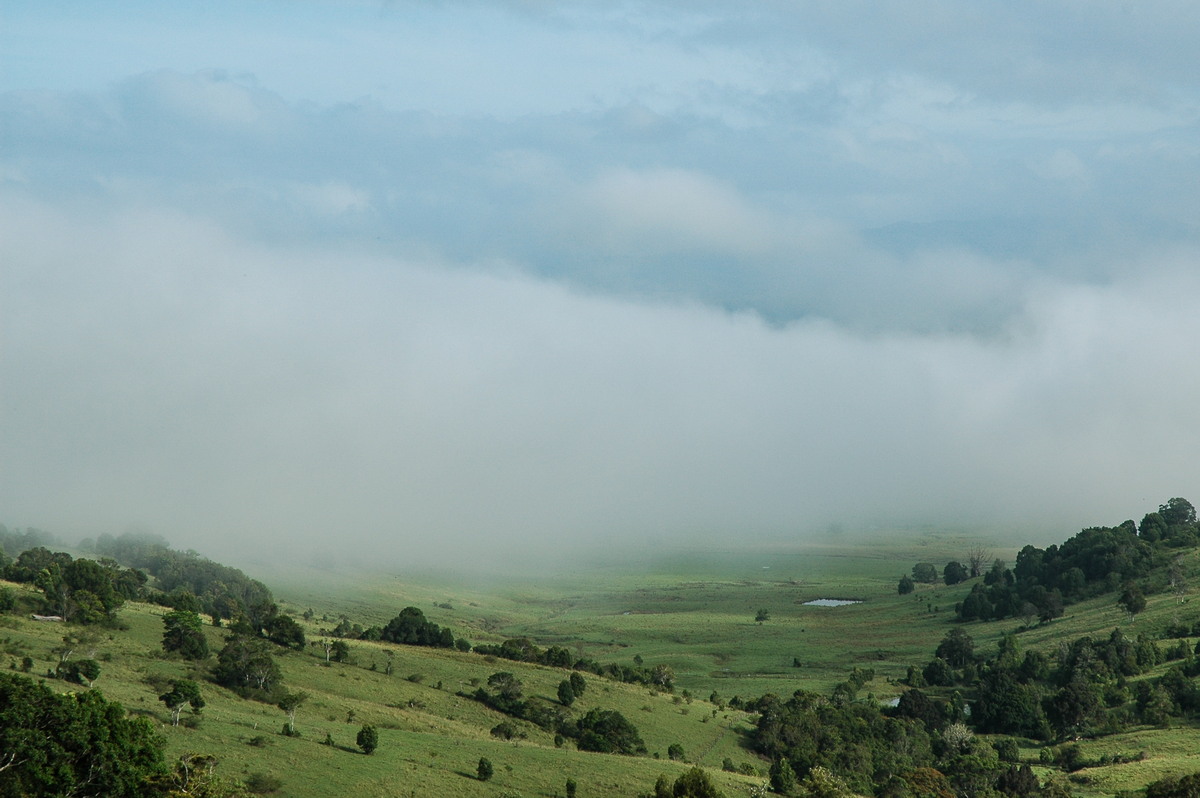 fogmist fog_mist_frost : McLeans Ridges, NSW   11 January 2006