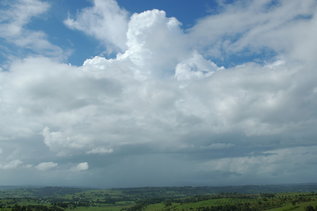 cumulus congestus : McLeans Ridges, NSW   11 January 2006