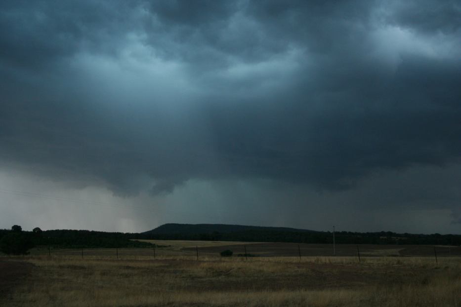 cumulonimbus thunderstorm_base : E of Parkes, NSW   15 January 2006