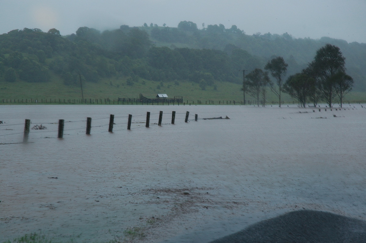 flashflooding flood_pictures : McLeans Ridges, NSW   19 January 2006