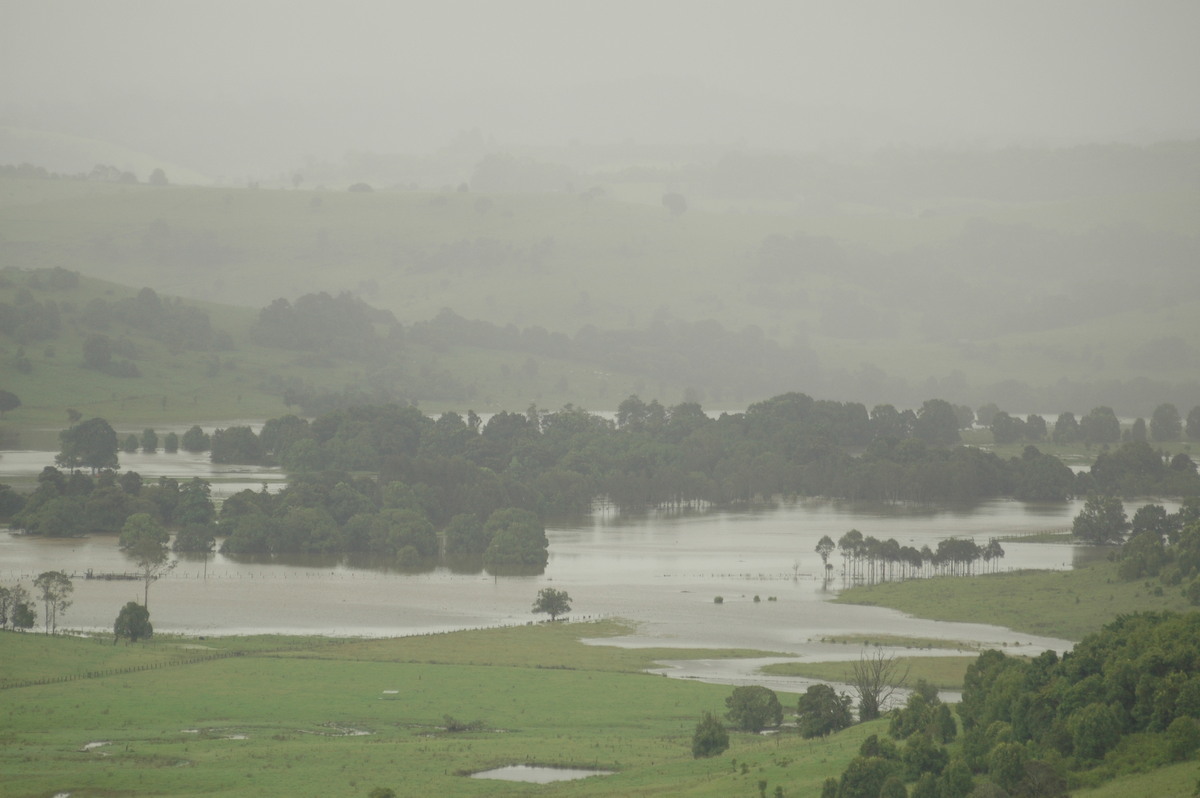 flashflooding flood_pictures : McLeans Ridges, NSW   20 January 2006