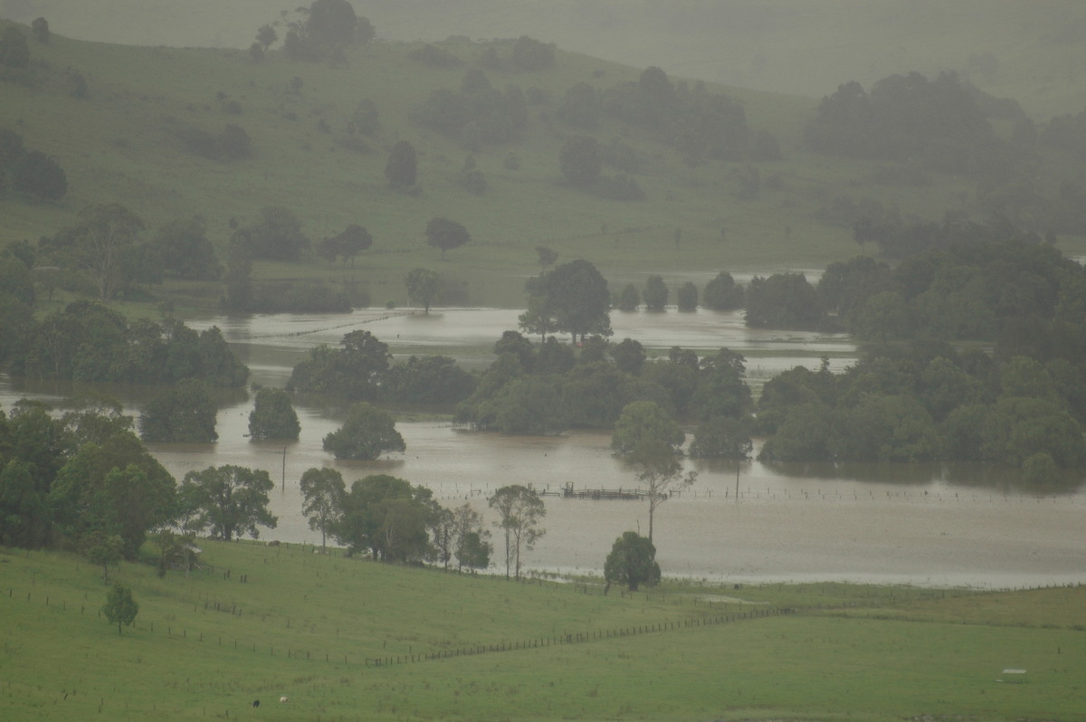 flashflooding flood_pictures : McLeans Ridges, NSW   20 January 2006