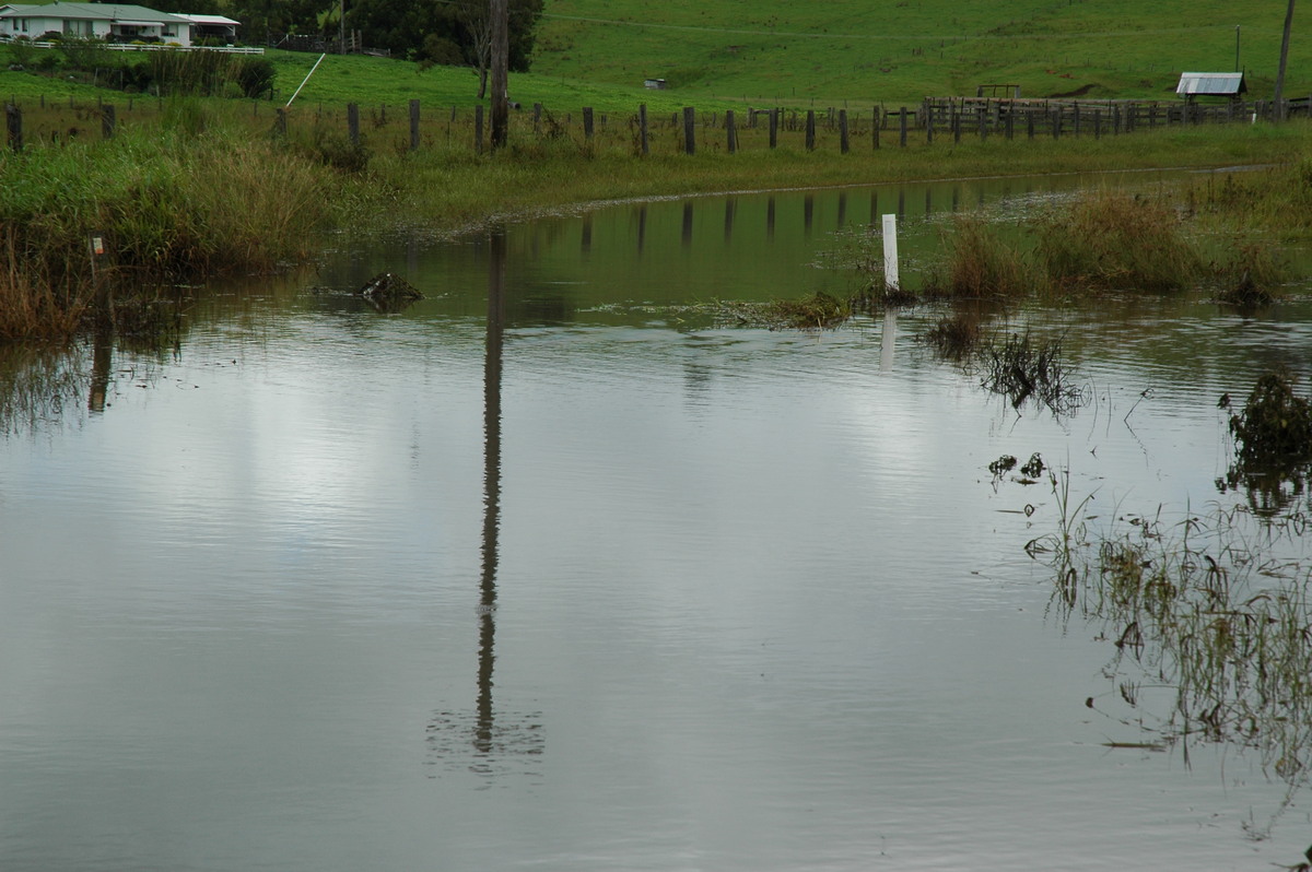 flashflooding flood_pictures : Eltham, NSW   21 January 2006