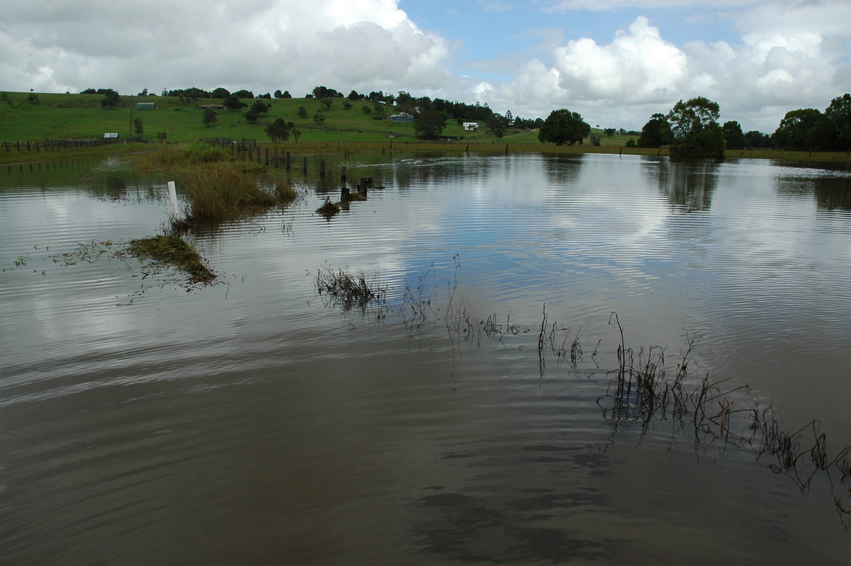 flashflooding flood_pictures : Eltham, NSW   21 January 2006