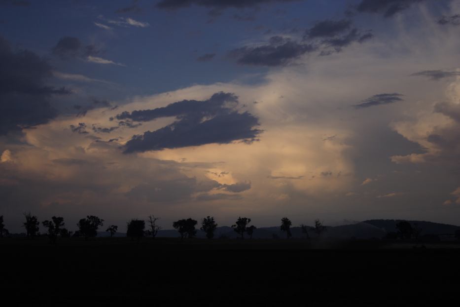 thunderstorm cumulonimbus_incus : W of Gulgong, NSW   24 January 2006