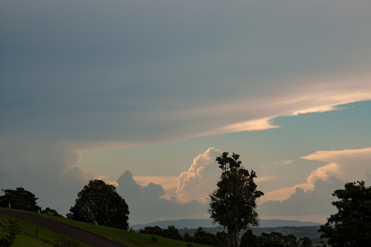 anvil thunderstorm_anvils : McLeans Ridges, NSW   24 January 2006