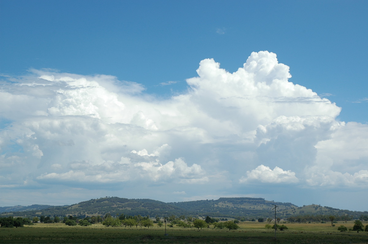 thunderstorm cumulonimbus_calvus : near Glen Innes, NSW   4 February 2006