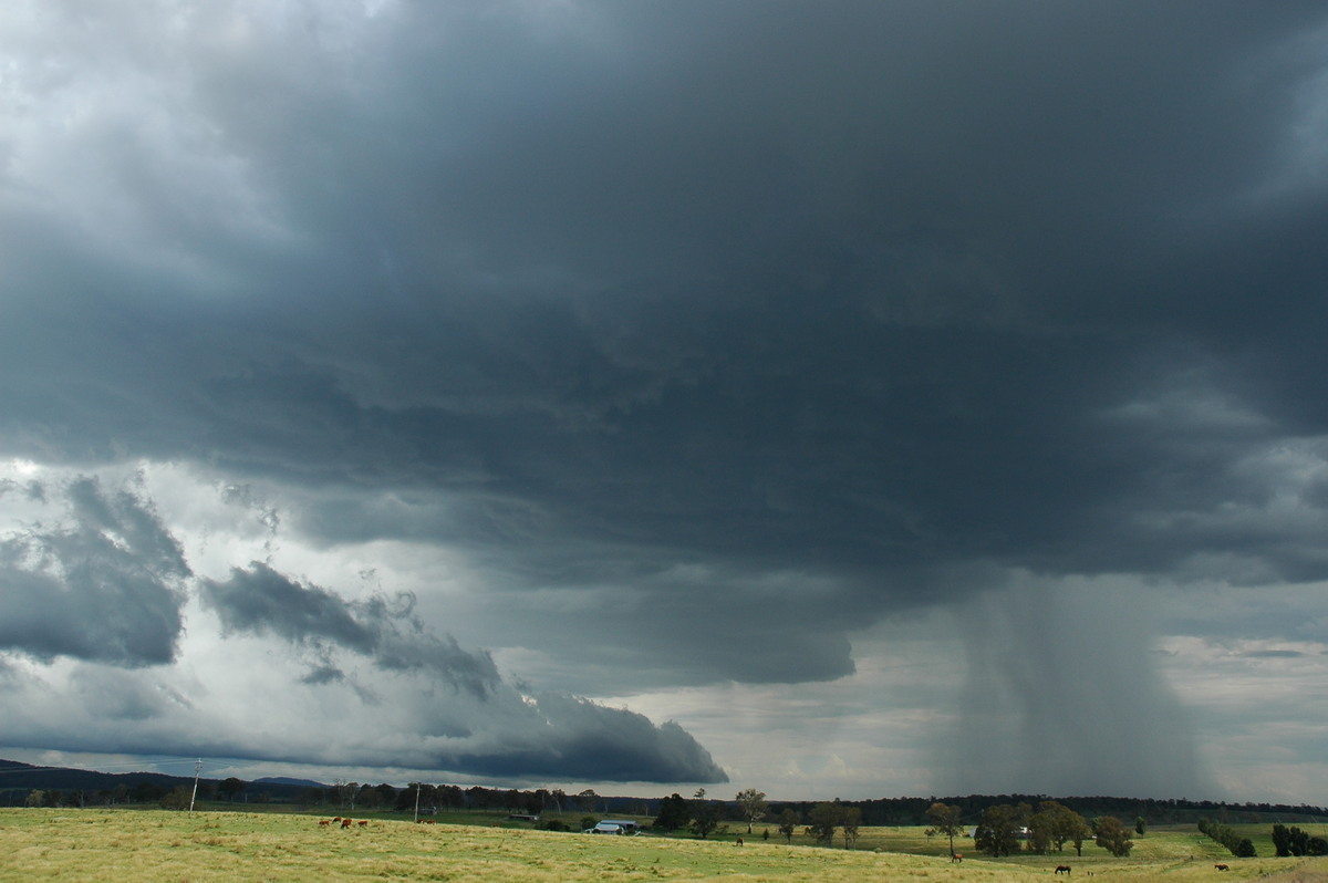 cumulonimbus thunderstorm_base : near Glen Innes, NSW   4 February 2006