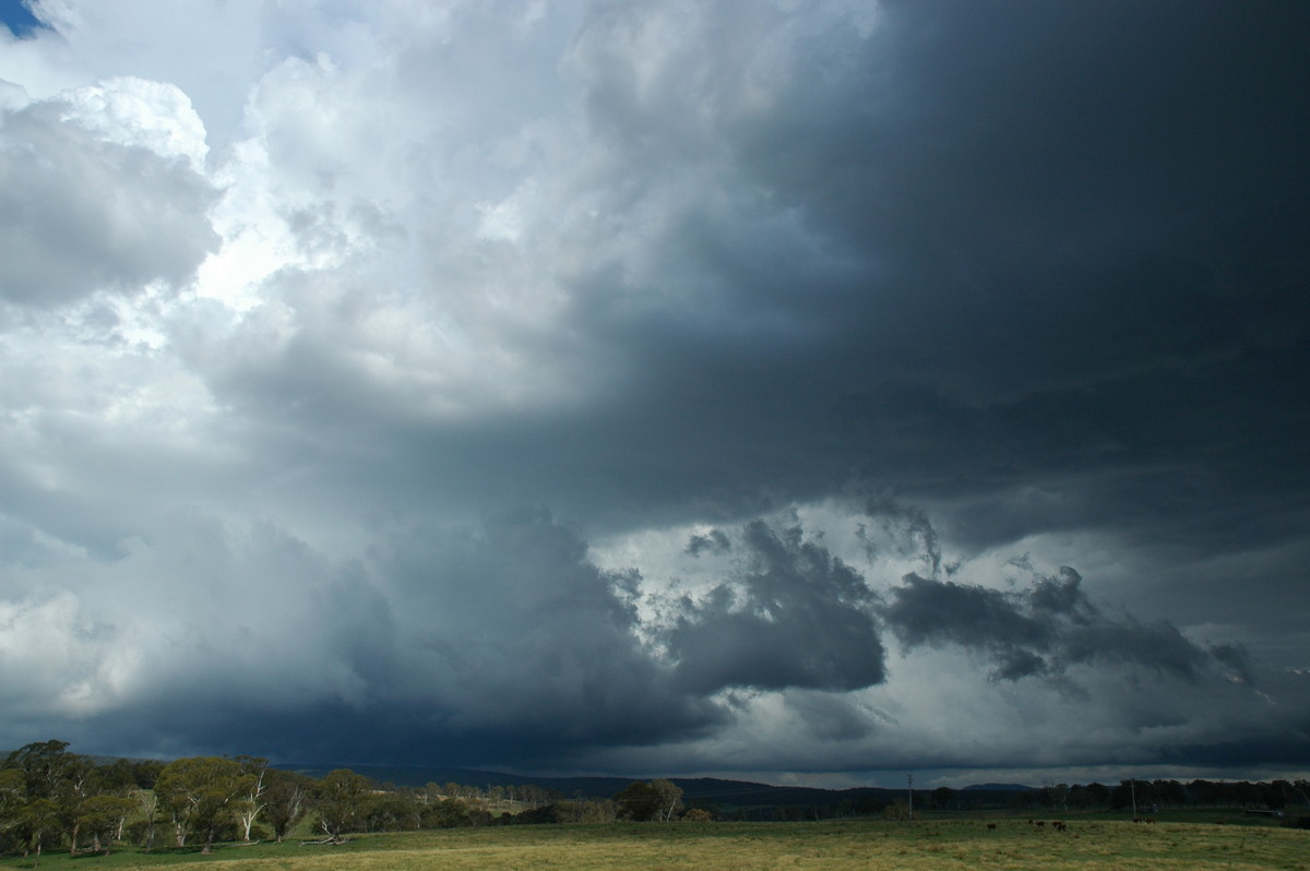 cumulonimbus thunderstorm_base : near Glen Innes, NSW   4 February 2006