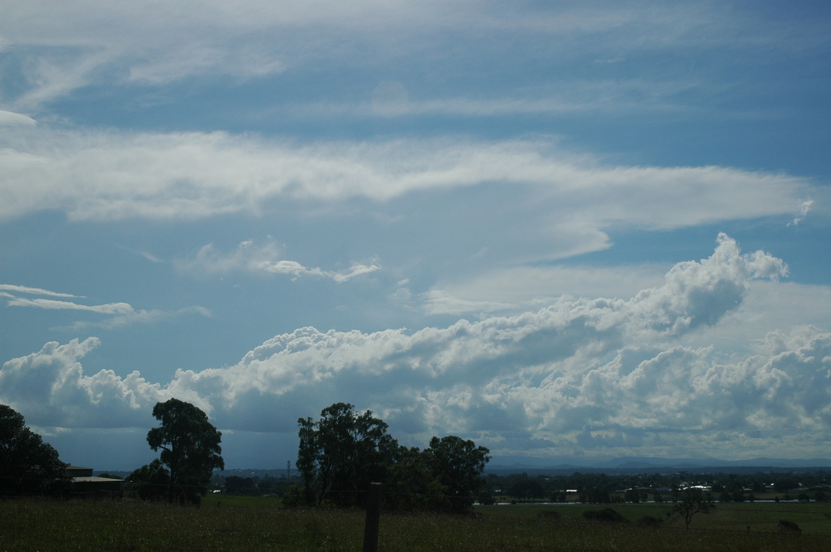 anvil thunderstorm_anvils : near Grafton, NSW   12 February 2006