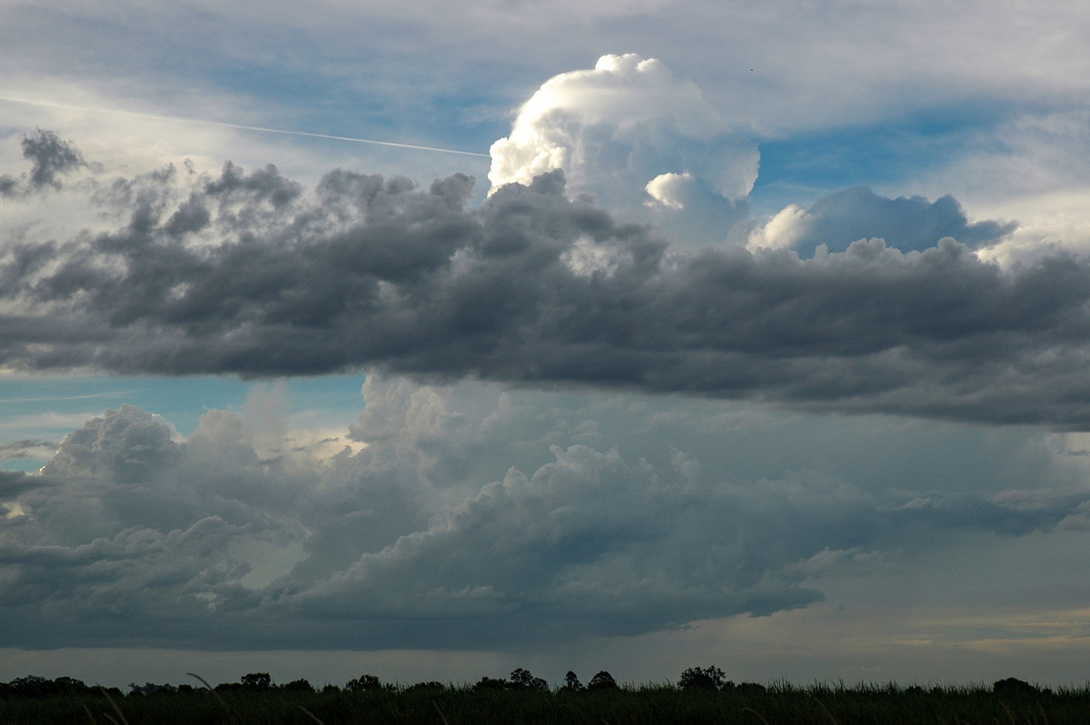 pileus pileus_cap_cloud : near Maclean, NSW   13 February 2006