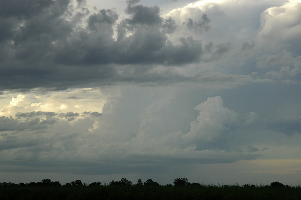 thunderstorm cumulonimbus_incus : near Maclean, NSW   13 February 2006