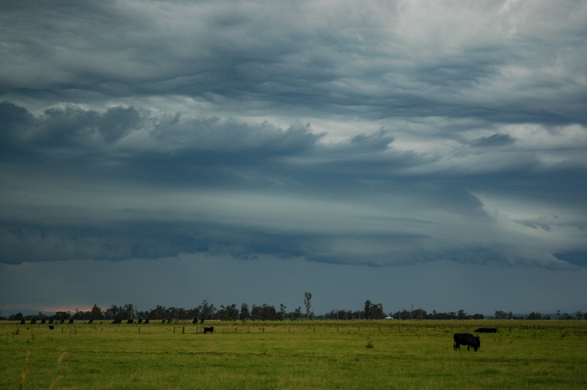 shelfcloud shelf_cloud : near Maclean, NSW   13 February 2006