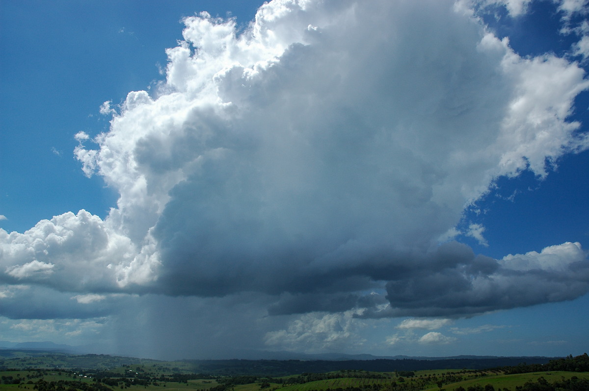 thunderstorm cumulonimbus_calvus : McLeans Ridges, NSW   17 February 2006