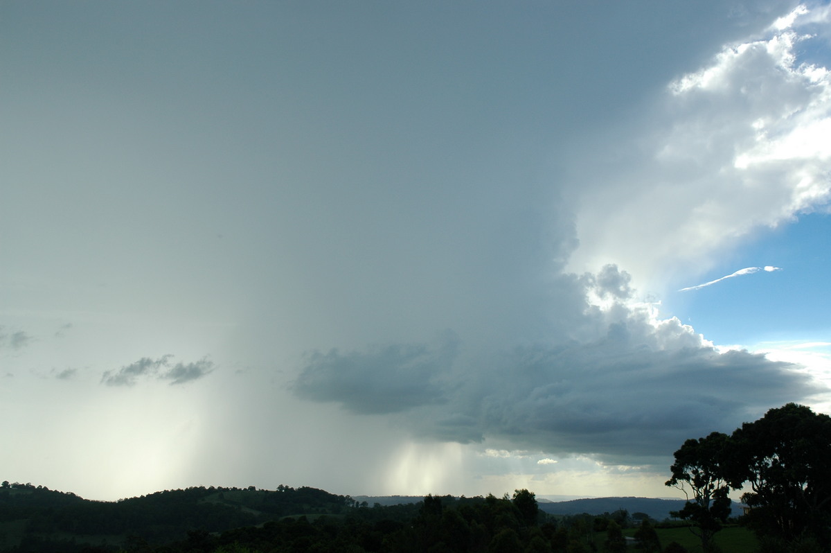 cumulonimbus thunderstorm_base : Tregeagle, NSW   17 February 2006