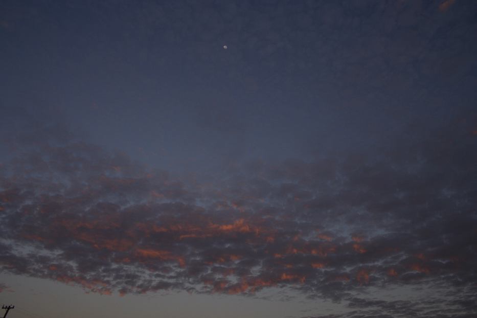 altocumulus altocumulus_cloud : Schofields, NSW   18 February 2006