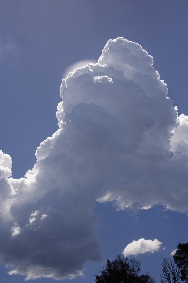 pileus pileus_cap_cloud : Kurrajong Heights, NSW   18 February 2006