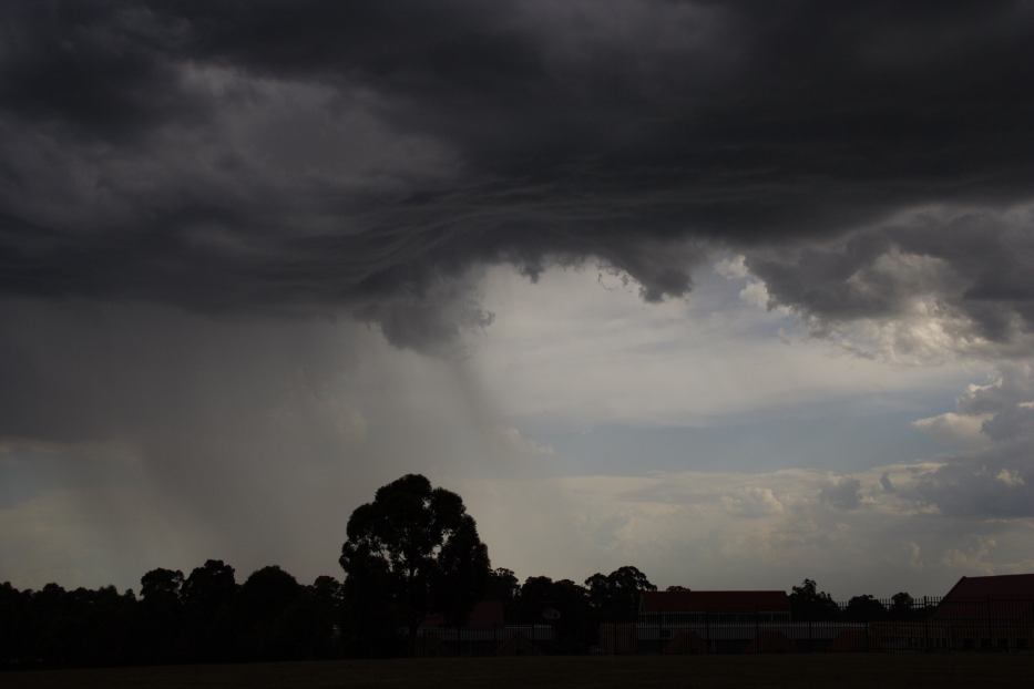 raincascade precipitation_cascade : Quakers Hill, NSW   18 February 2006