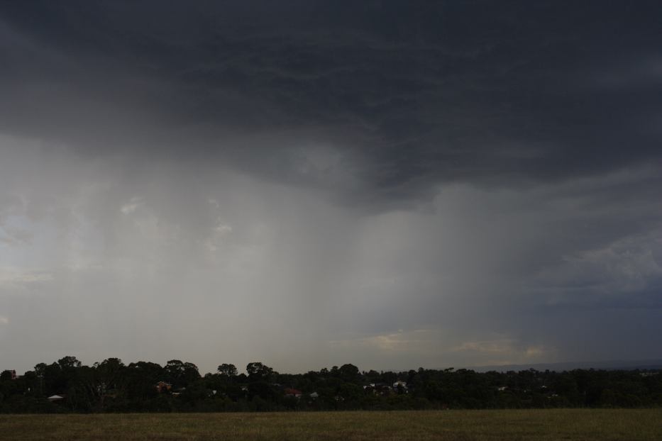 cumulonimbus thunderstorm_base : Rooty Hill, NSW   18 February 2006