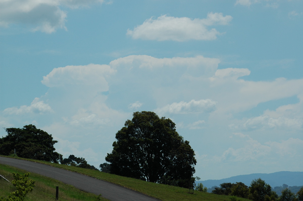 thunderstorm cumulonimbus_incus : McLeans Ridges, NSW   19 February 2006