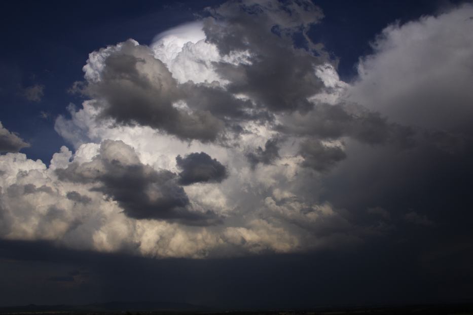 thunderstorm cumulonimbus_calvus : Gulgong, NSW   20 February 2006