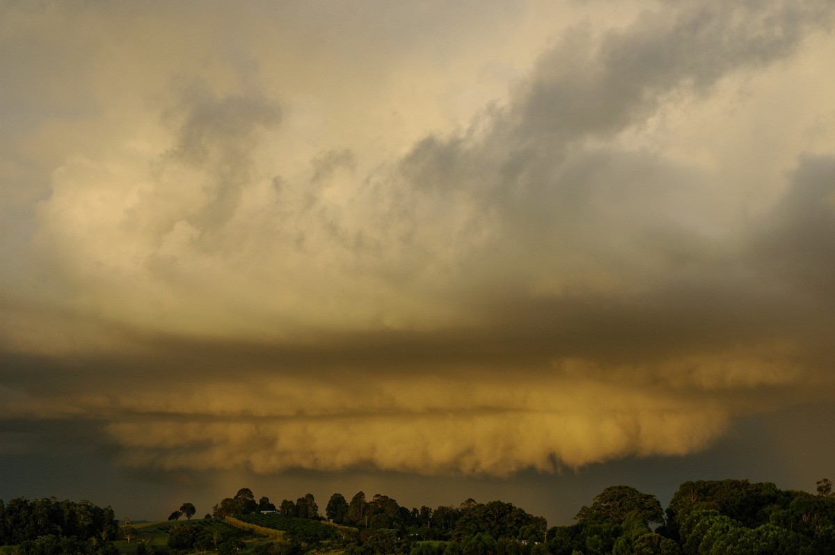 shelfcloud shelf_cloud : McLeans Ridges, NSW   21 February 2006