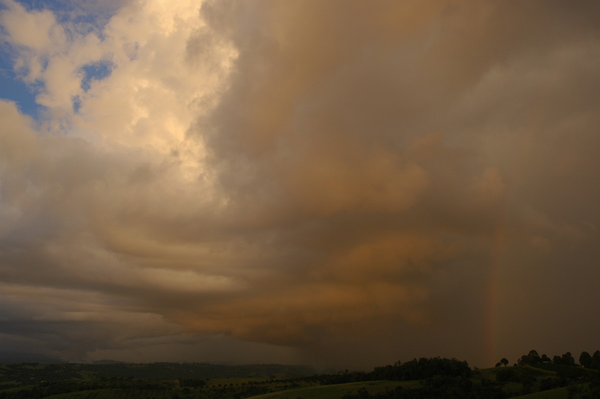 rainbow rainbow_pictures : McLeans Ridges, NSW   21 February 2006