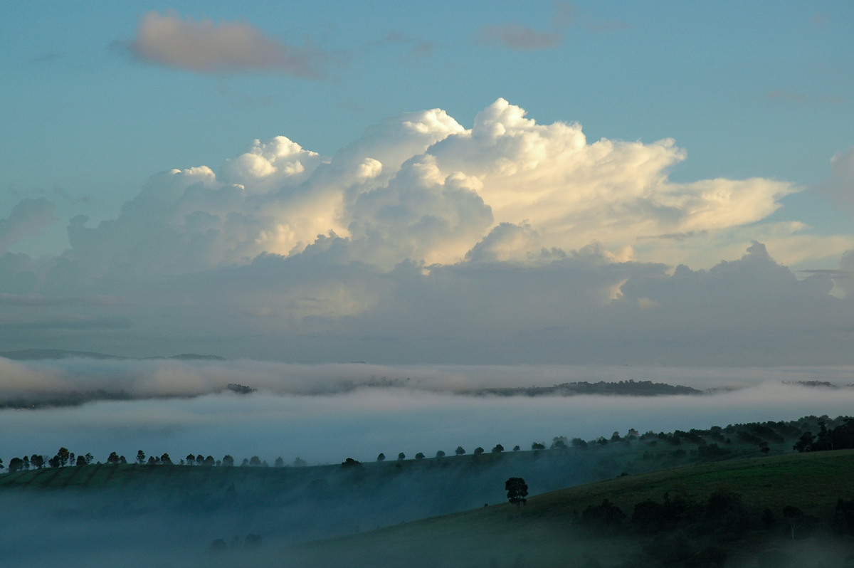 fogmist fog_mist_frost : McLeans Ridges, NSW   22 February 2006