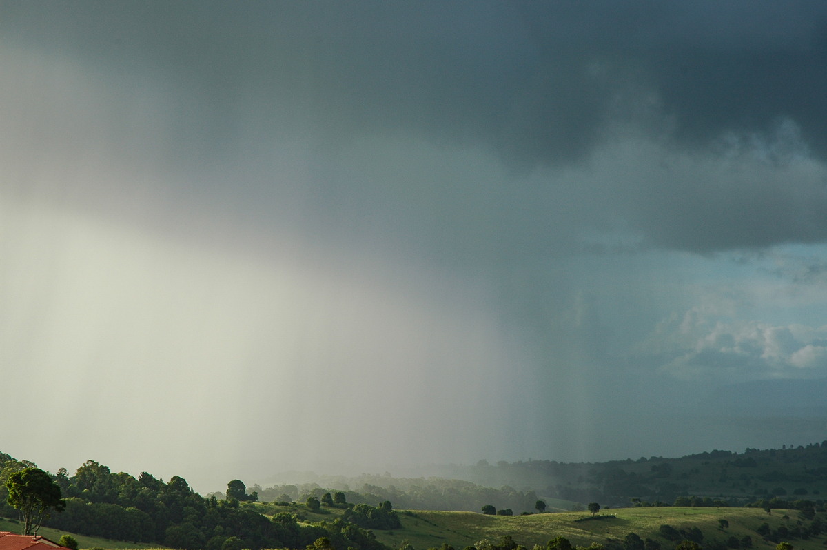 favourites michael_bath : McLeans Ridges, NSW   22 February 2006