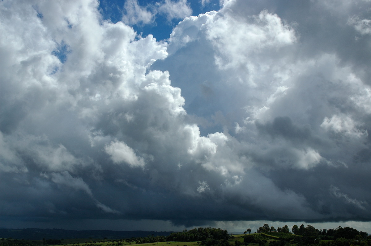 cumulus congestus : McLeans Ridges, NSW   24 February 2006