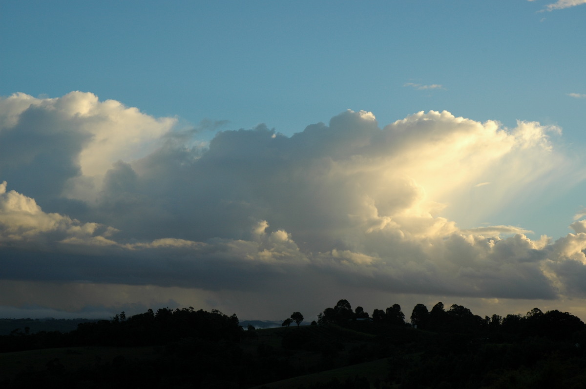 cumulus congestus : McLeans Ridges, NSW   24 March 2006