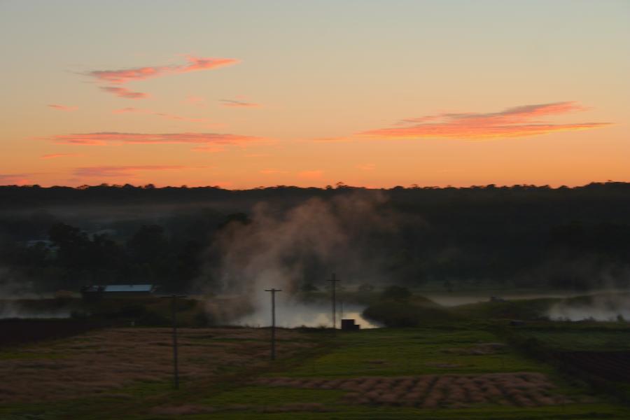 fogmist fog_mist_frost : Schofields, NSW   3 April 2006