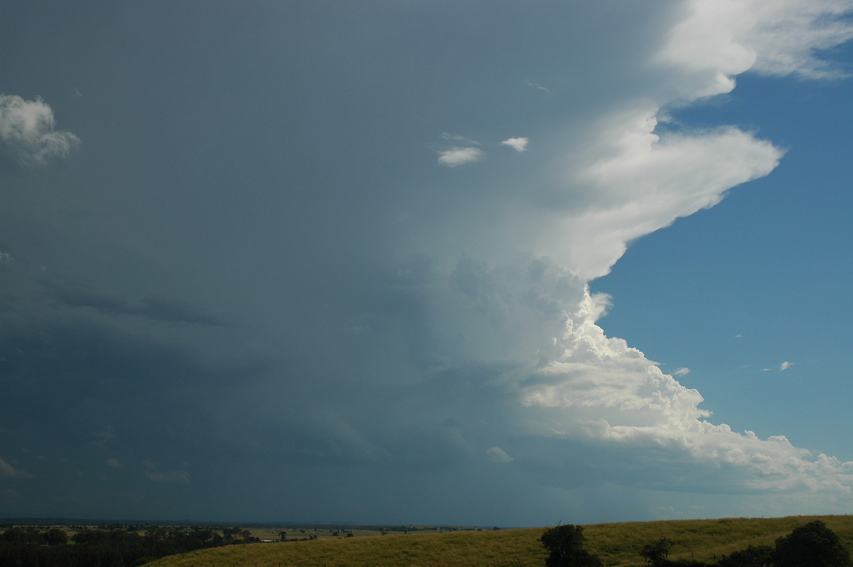 thunderstorm cumulonimbus_incus : Parrots Nest, NSW   4 April 2006