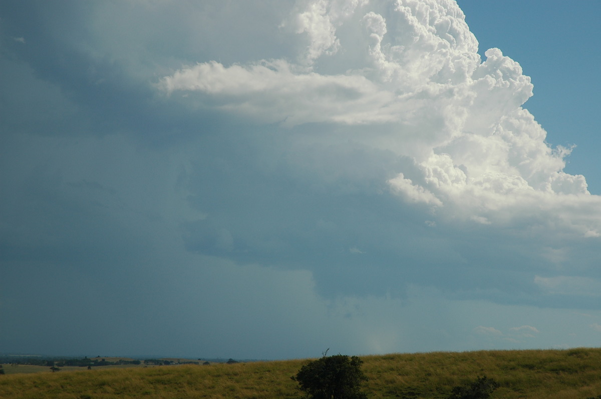 wallcloud thunderstorm_wall_cloud : Parrots Nest, NSW   4 April 2006