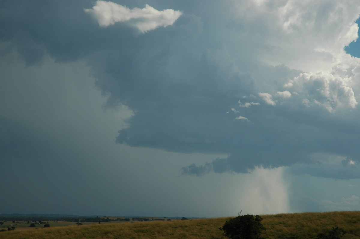 wallcloud thunderstorm_wall_cloud : Parrots Nest, NSW   4 April 2006