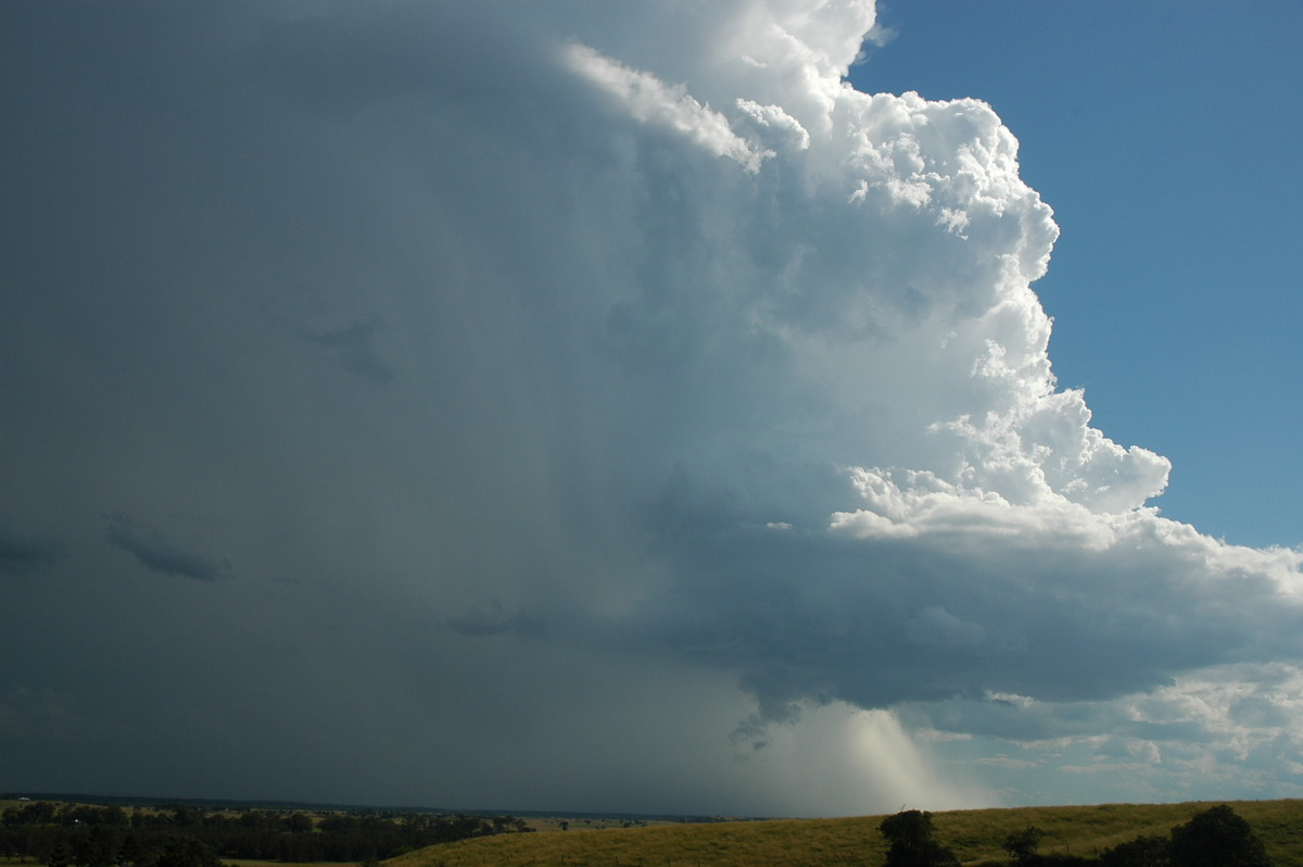 microburst micro_burst : Parrots Nest, NSW   4 April 2006