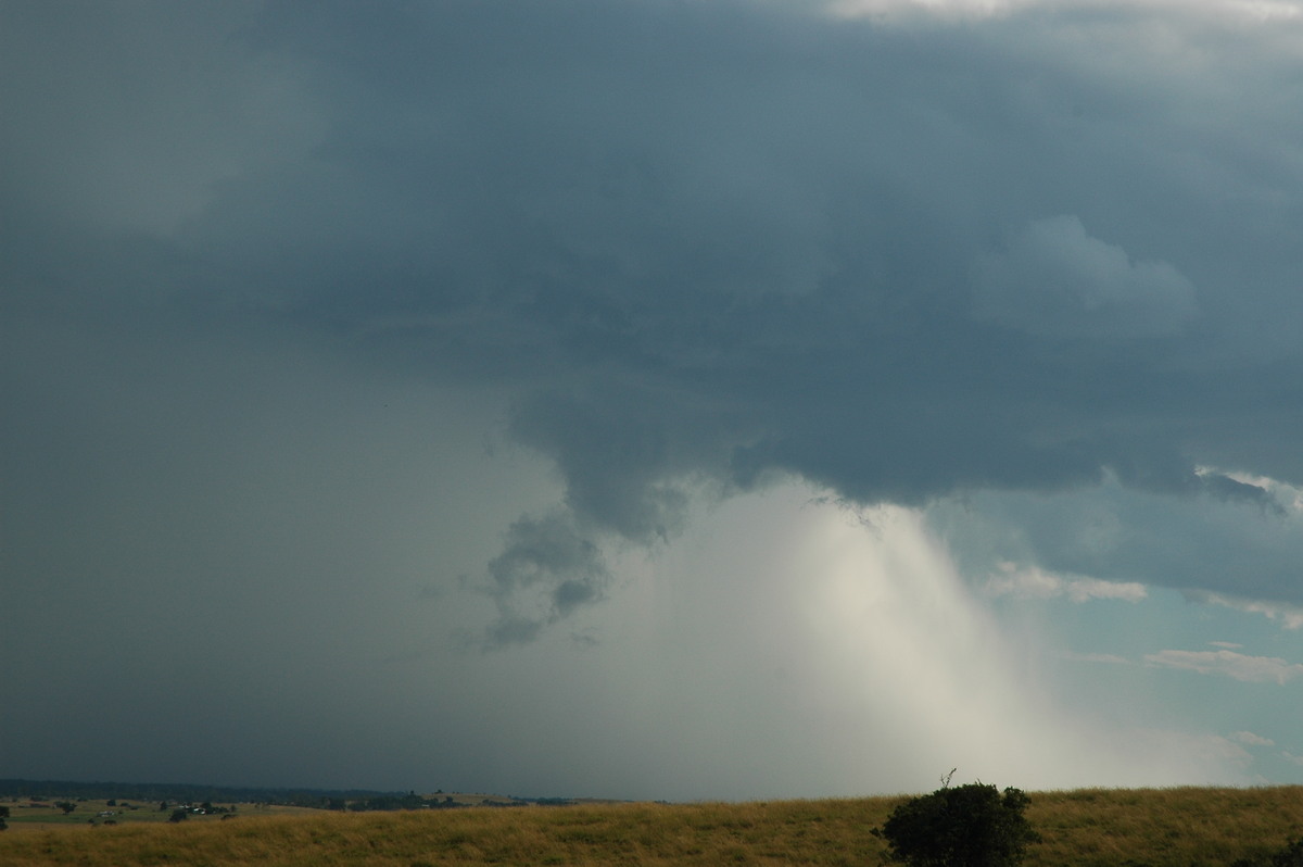 wallcloud thunderstorm_wall_cloud : Parrots Nest, NSW   4 April 2006