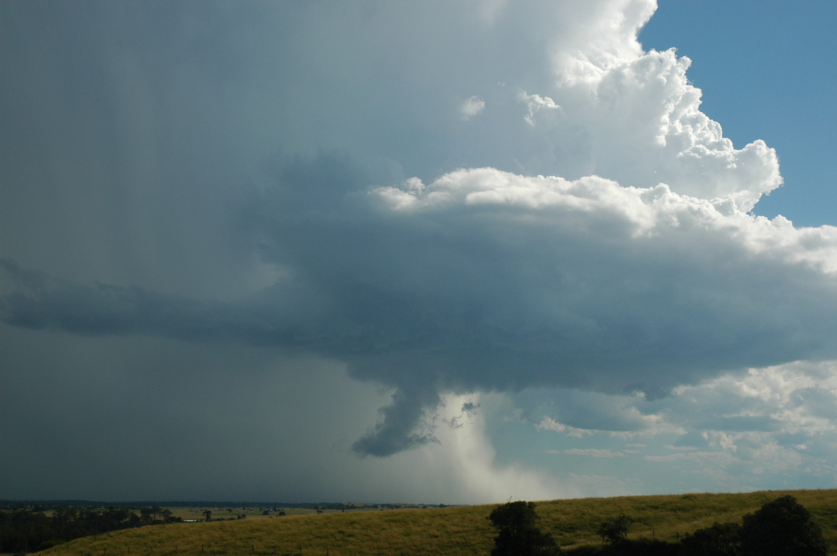 wallcloud thunderstorm_wall_cloud : Parrots Nest, NSW   4 April 2006