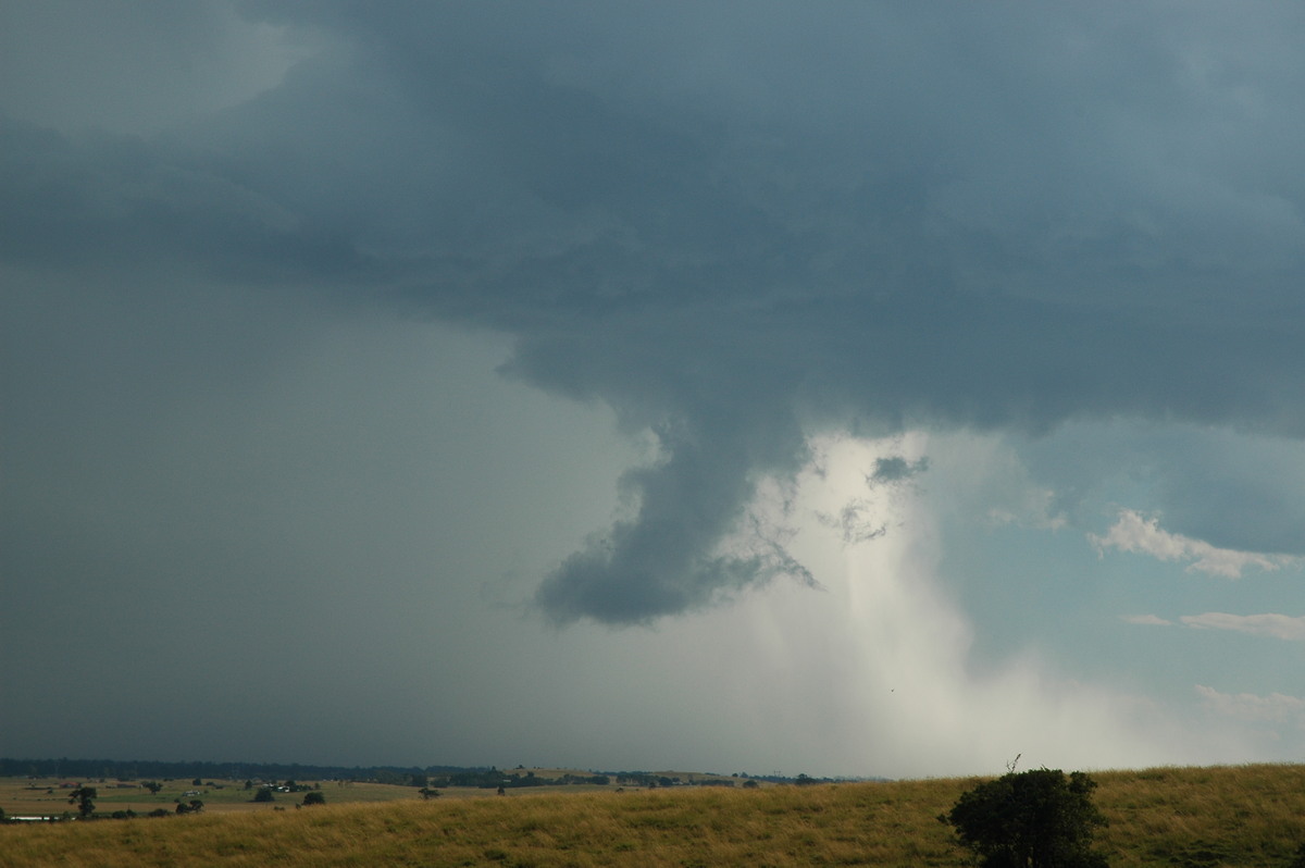 wallcloud thunderstorm_wall_cloud : Parrots Nest, NSW   4 April 2006