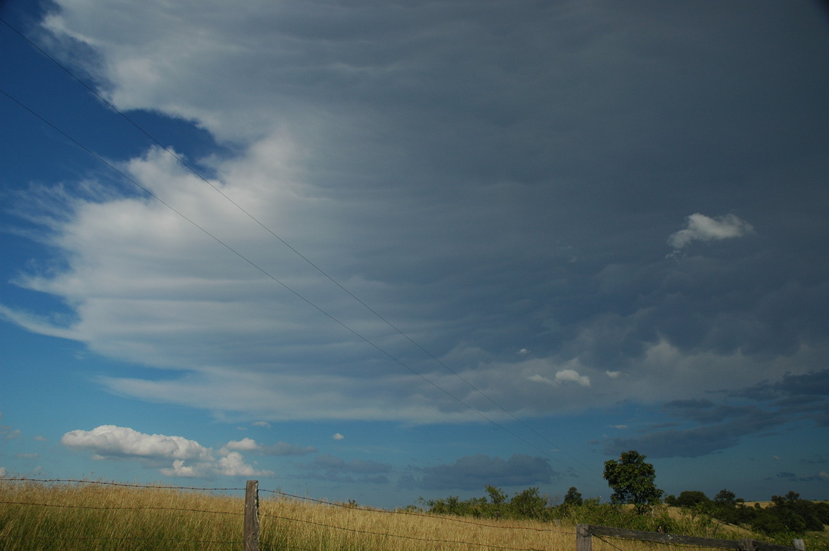 mammatus mammatus_cloud : Parrots Nest, NSW   4 April 2006