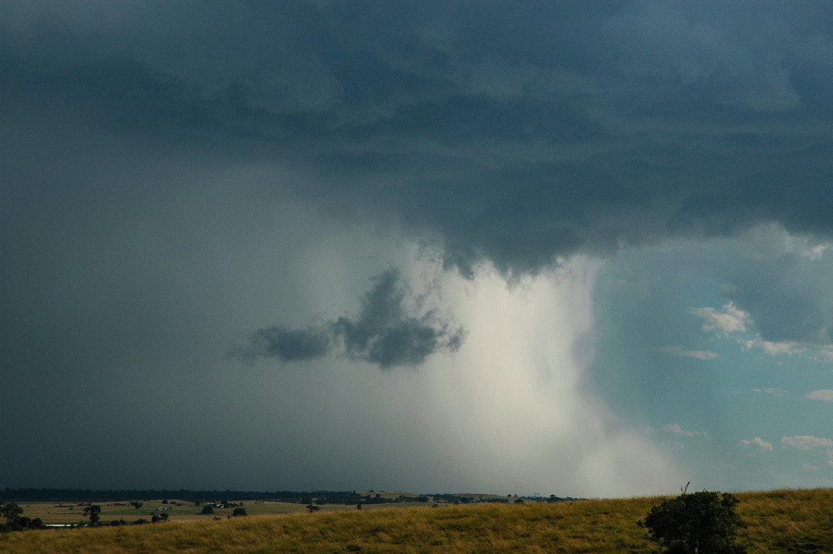 microburst micro_burst : Parrots Nest, NSW   4 April 2006