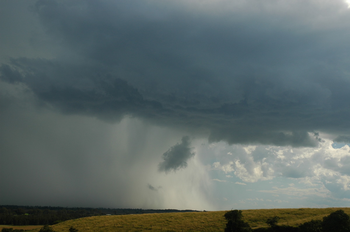 wallcloud thunderstorm_wall_cloud : Parrots Nest, NSW   4 April 2006