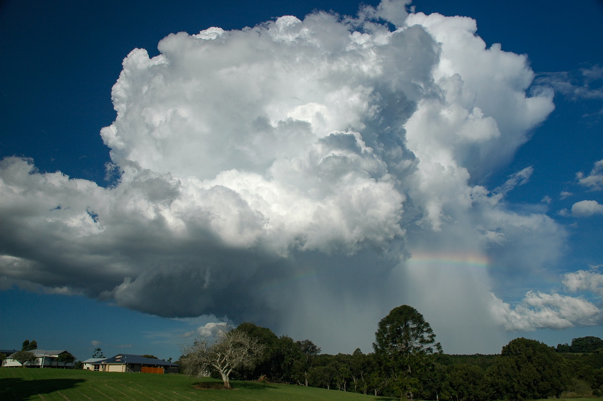 favourites michael_bath : McLeans Ridges, NSW   4 April 2006