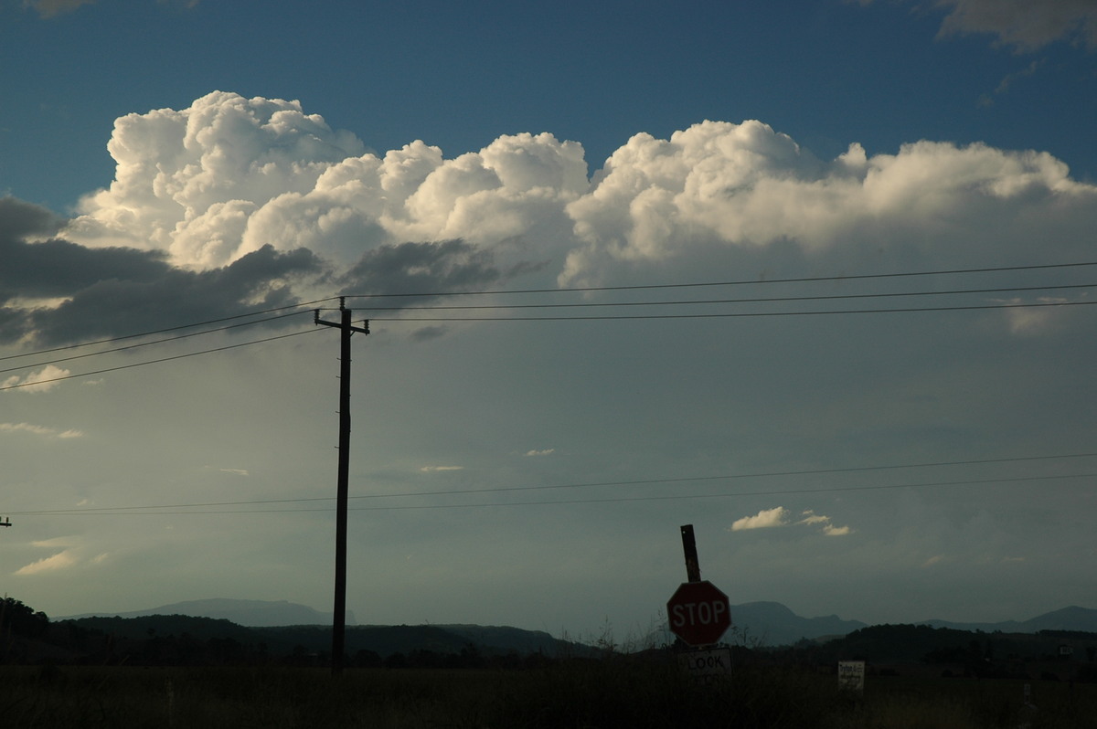 thunderstorm cumulonimbus_calvus : near Lismore, NSW   4 April 2006