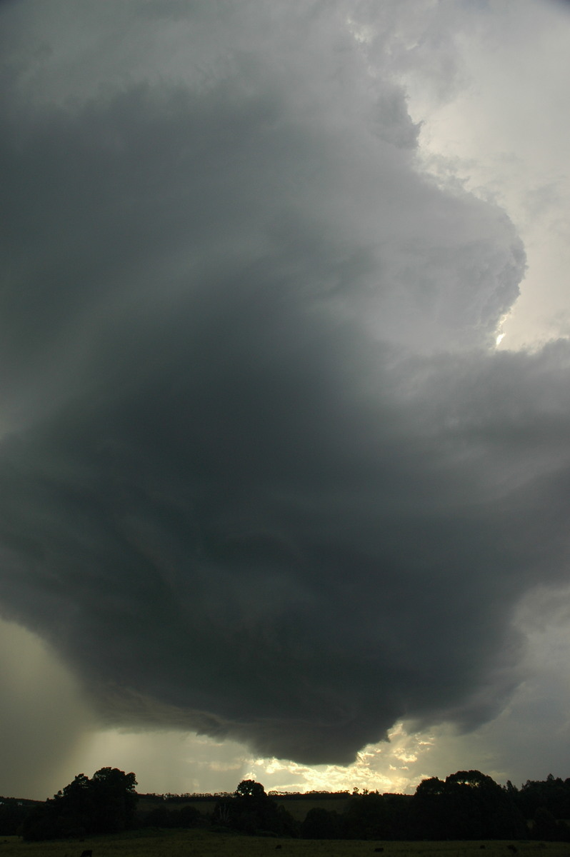 updraft thunderstorm_updrafts : Clunes, NSW   4 April 2006