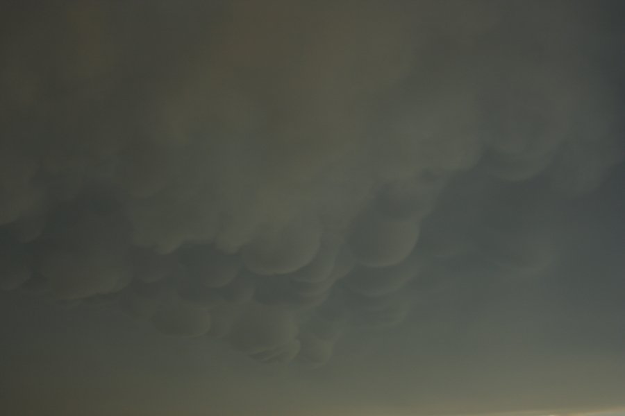 mammatus mammatus_cloud : Chillicothe, Missouri, USA   18 April 2006