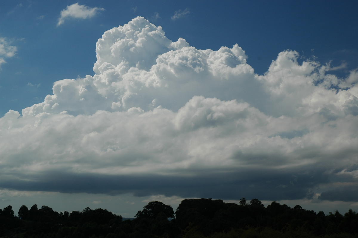 cumulus congestus : McLeans Ridges, NSW   21 April 2006